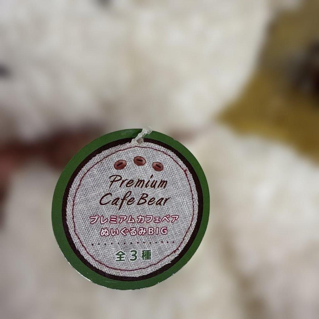 [USED] White teddy bear with ribbon