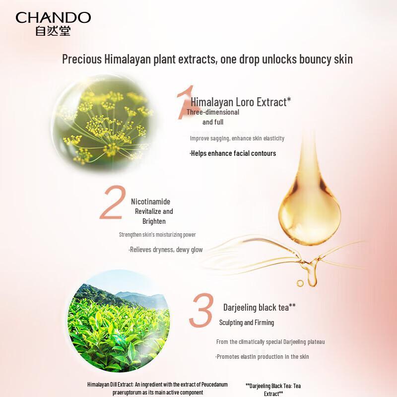 Chando Elastic Firming Anti-Wrinkle Night Cream 50g