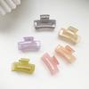 Solid Color Bathing Clips Plastic Hair Accessories Hair Grab Grab Clips Ponytail Holder Hair Claws