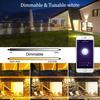 Newest Smart Floodlights LED Reflector Outdoor Lighting 220V 30/50/100W RGB Dimmable Warm Cold White Light for Alexa Google Home