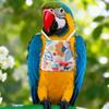 Adjustable Bird Flight Suits Anti Pinch Design Bird Traction Rope  Bird Training
