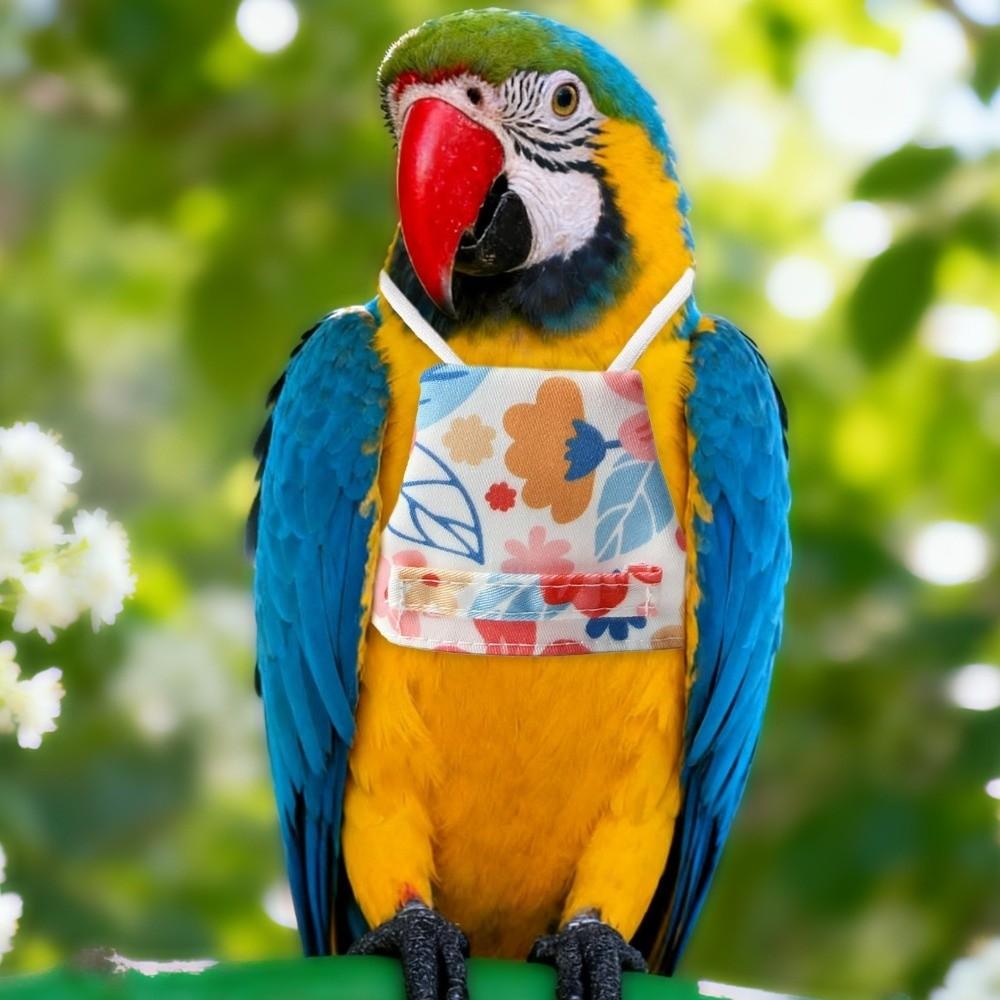 Adjustable Bird Flight Suits Anti Pinch Design Bird Traction Rope Bird Training