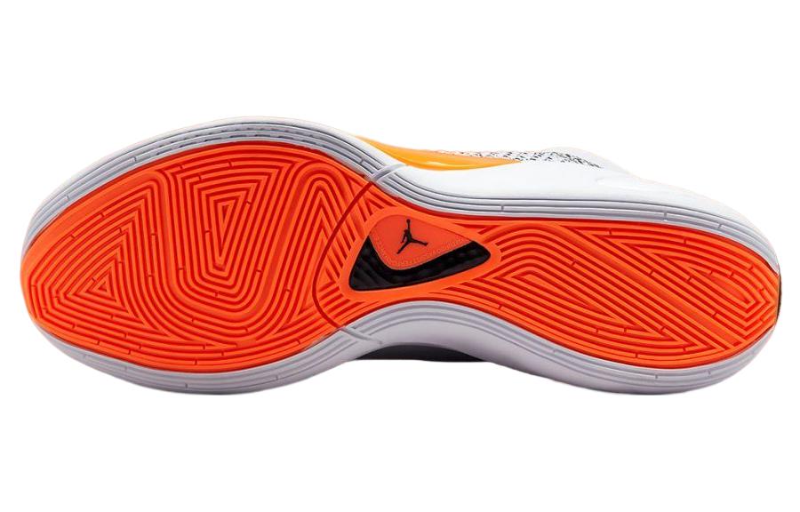 Air Jordan Luka 1 Pf 'Safari' DQ6510-108