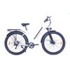 ZAZAWORK C28 Adult E-Bicycle 250W Powerful Motor 36V 20AH Battery 29 Inch Tire Urban Commuter Electric Bike for Daily Outdoor Travel City Road Riding