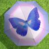 1pc Butterfly Rainbow Automatic Folding Umbrella 8 Rib Iron Frame,  Suitable for Travel, Daily Use, Birthday, Women & Men Gift c1231038