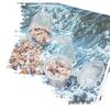 Seashell Conch UV Epoxy Craft Encapsulation Kit