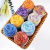 50g/Ball Adult Scarf Colorful Segment Dyeing 8 Strands Cotton Yarn Yarn DIY Hand Knitted