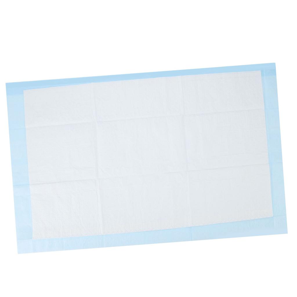 10 Pcs Disposable Bed Pad Heavy Absorbency Incontinence Pad Soft Gentle Underpad for Adult Elder Maternity Baby