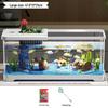 VER ACUARIO DE SOBREMESA DE KEAN