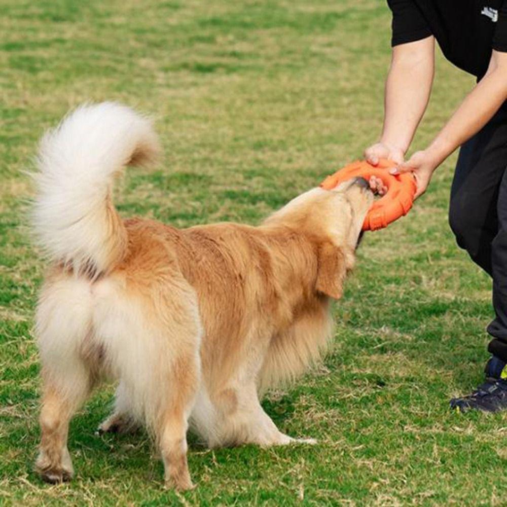 Bite Resistant Interactive Dog Toys Teeth Grinding Pet Pull Toy Durable Dog Pull Ring Toys  Dogs