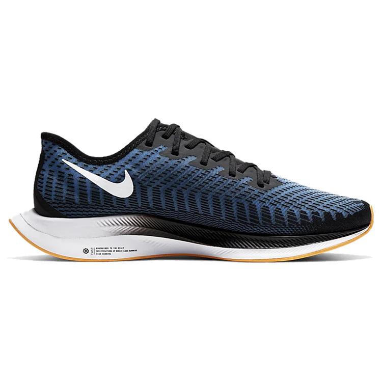 Nike Zoom Pegasus Turbo 2 Black AT2863-009