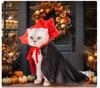 Funny Halloween Magic Cloak Costume for Cats and Dogs