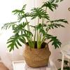 Nordic Artificial Bonsai: Creative Dried Flower Arrangements for Home and Office Decor