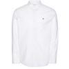 Mens Oxford Button-Down Shirt