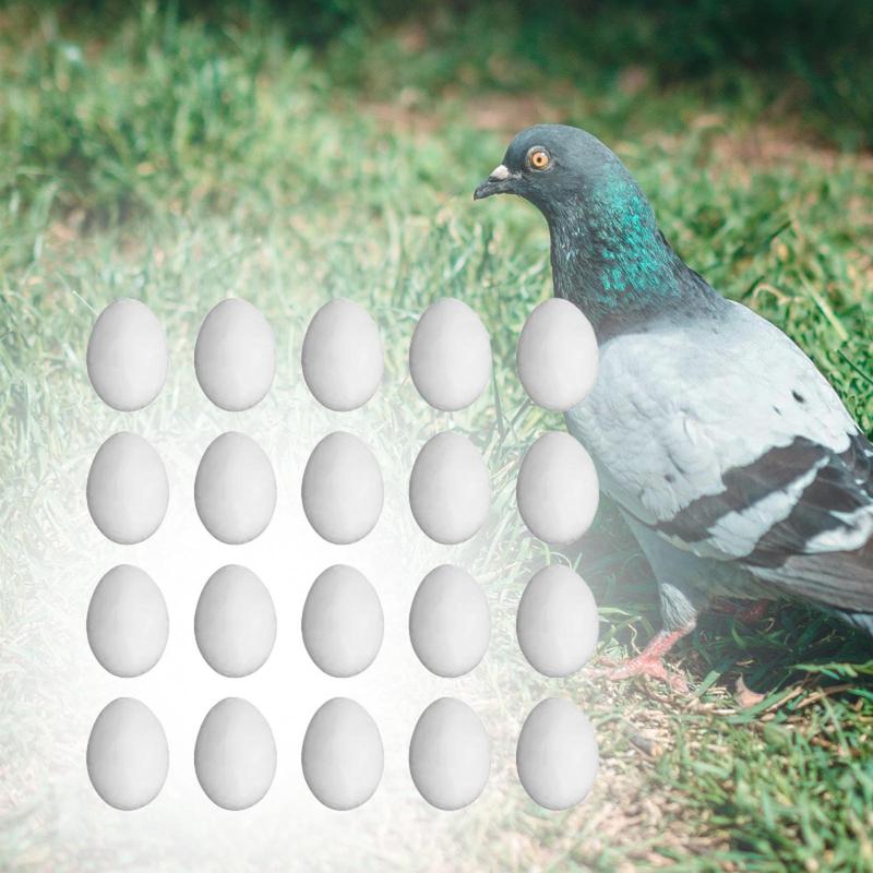 Solid PP Simulation Pigeon Eggs White