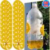 Bouteilles Piège Réutilisables pour Mouches des Fruits et Guêpes avec Entonnoir, Attrape-Frelons et Abeilles, Répulsif Contrôle des Ravageurs Outils de Jardin