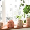 Multipurpose Heart Vase Silicone Mould Versatile Resin Cast Set for Home and Office Decoration and Jewelry Storage