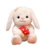 Newest Mushroom Rabbit Mushroom Green Plant Kawaii Plush Toy Figure Doll Cartoon Anime Cute Kids Birthday Holiday Gift Doll