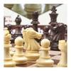 2 in 1 Chess/Checkers Set Magnetic Game Set Folding Board Convenient to Carry (Chess + Checkers Set)