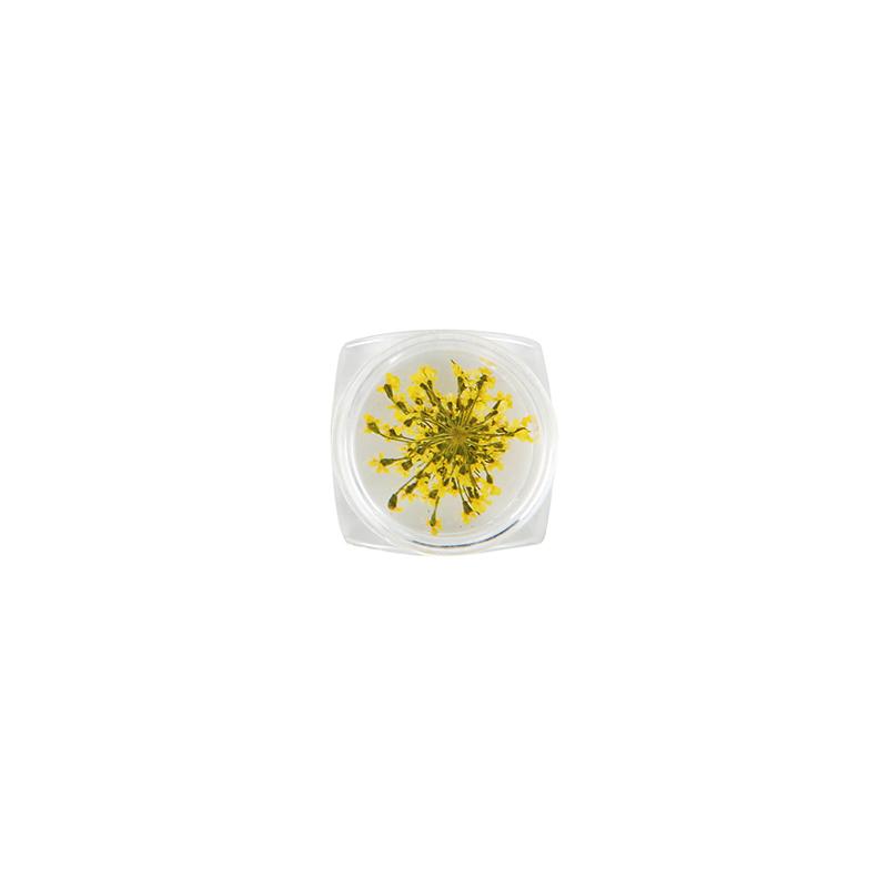 

2pcs/box Dried Flower Leaf for Nail Sticker Resin Supplies Fillings Natural Flower Art Handicrafts Diy Jewelry Making Findings