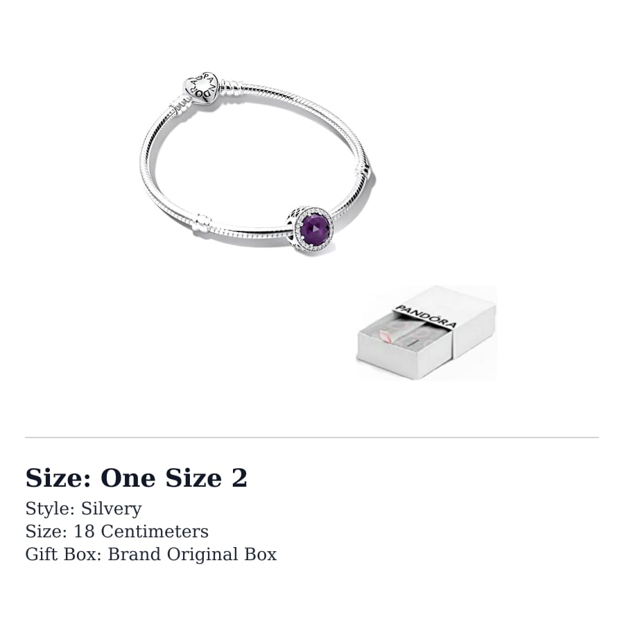 Pandora 925 Sterling Silver Bracelets Women's ZT10943