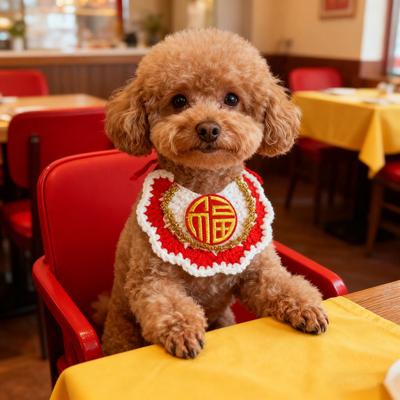 Yousheng Crocheted Pet Bib Chinese New Year Cat Bib Red Fortune Pet Collar for Cats And Small Dogs Festive Dress-up Accessory
