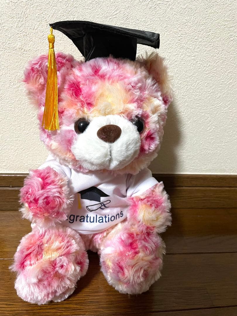 

[USED] Pink Teddy Bear, Graduation Gift, Plush Toy