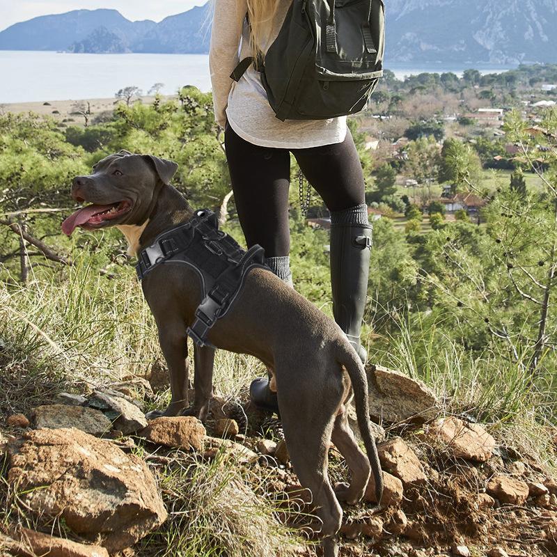 Multi D-ring Reflective Velcro Dog Harness