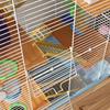 5 Tier Hamster Cage Carrier Habitat w/ Exercise Wheels, Tunnel, Light Blue