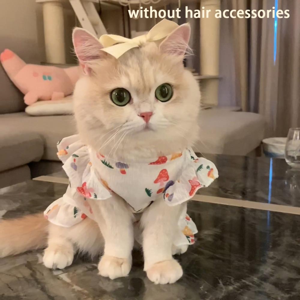 

Платье для домашнего питомца без рукавов, летняя одежда, одежда для питомца, юбка для щенка, чихуахуа, бишон, французский бульдог L-Mushrooms