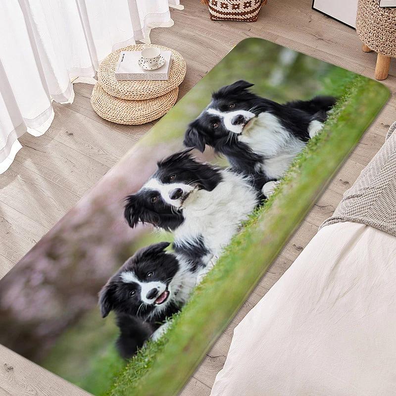

Digital Print Carpet for Bedroom Border Collie Cute Outdoor Entrance Doormat Useful Things for Home Hallway Entryway Foot Mat 40x60cm16x24in