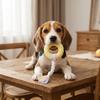 Puppy Teething Chew Toys, Non-Toxic TPR Dog Bone & Ring Toys with Rope, Durable & Bite Resistant for Small Medium Breeds