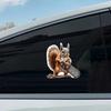 Squirrel With Chainsaw Car Sticker Vinyl Decal Waterproof Rear Window Motorcycle Camper Bumper Truck Laptop Decoration TM319