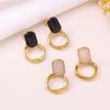 Stainless Steel Earrings High-end Sense Versatile Stud Earrings Temperament Trend Niche INS Fashion Earrings