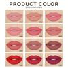 Luxurious Velvet Lipstick Richly Pigmented, Hydrating Formula Lip Gloss  Non-Fade Long Lasting Lip Glaze Lip Makeup Gift for Women