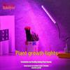 USB LED Plant Grow Light - Indoor Supplemental Light for Flowers, Bonsai, Succulents, 5V Small Table Lamp