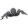Simulation Insect Model Ornaments Desktop Decoration Kid Children Halloween Toy(PL127‑845 )