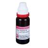 @Dr. Reckeweg Nux V Mother Tincture Q 20ML UK348 50%OFF