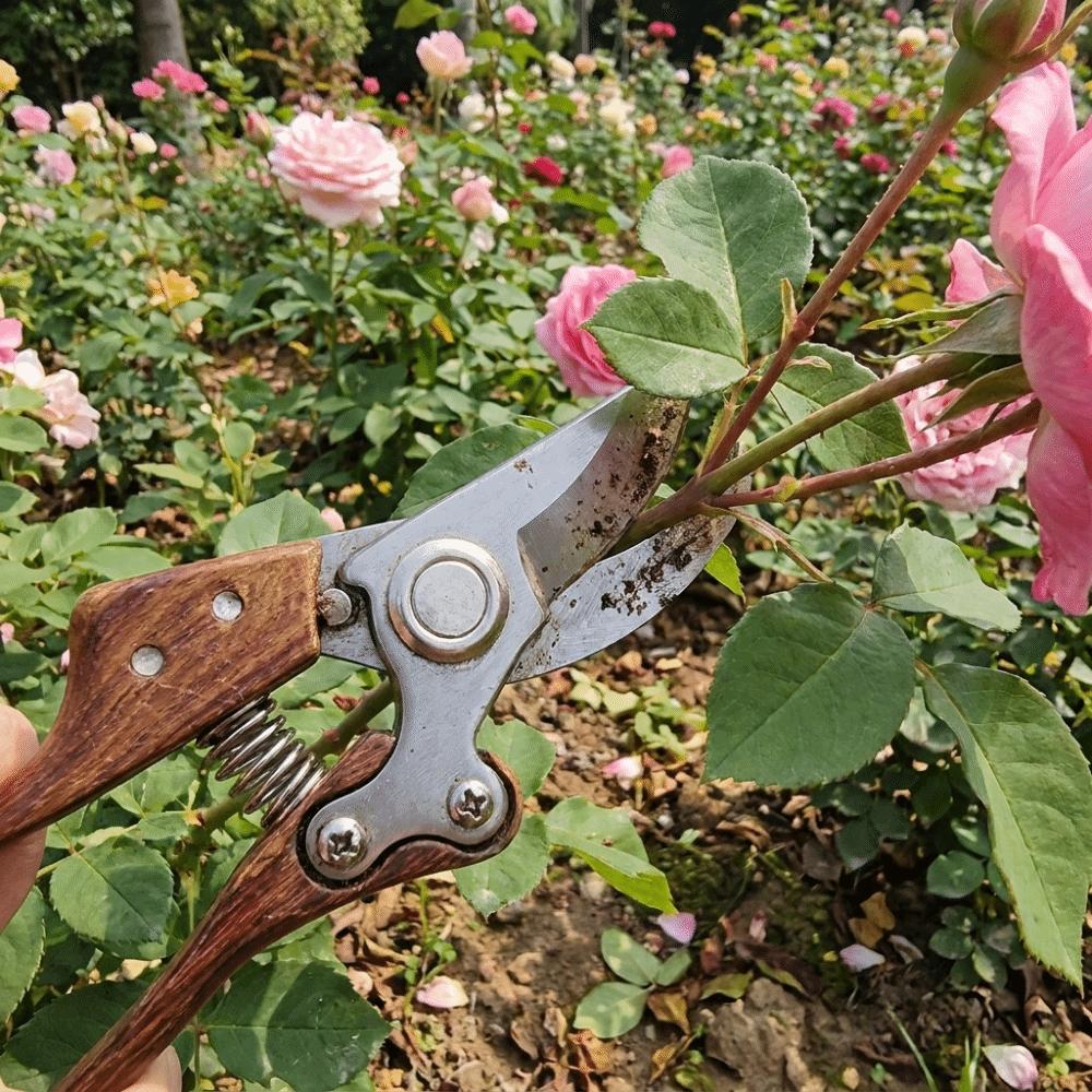 Wood Grain Garden Pruner Ergonomic Hand Pruner Gardening Tools Pruning Shears Thick Branches