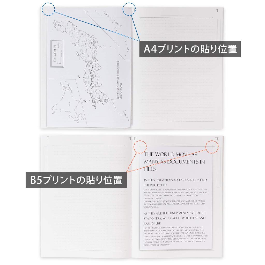 Kyokuto Associates College Notebook, 7mm Ruled, A4 Wide, Blue, 10-Pack, CLW2