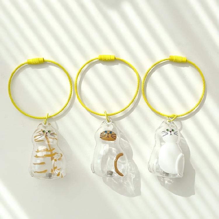Textured Feline Hair Organiser Case Pendant Keychain Novelty Memorial Gift Box Accessory For Practical Gift Giving