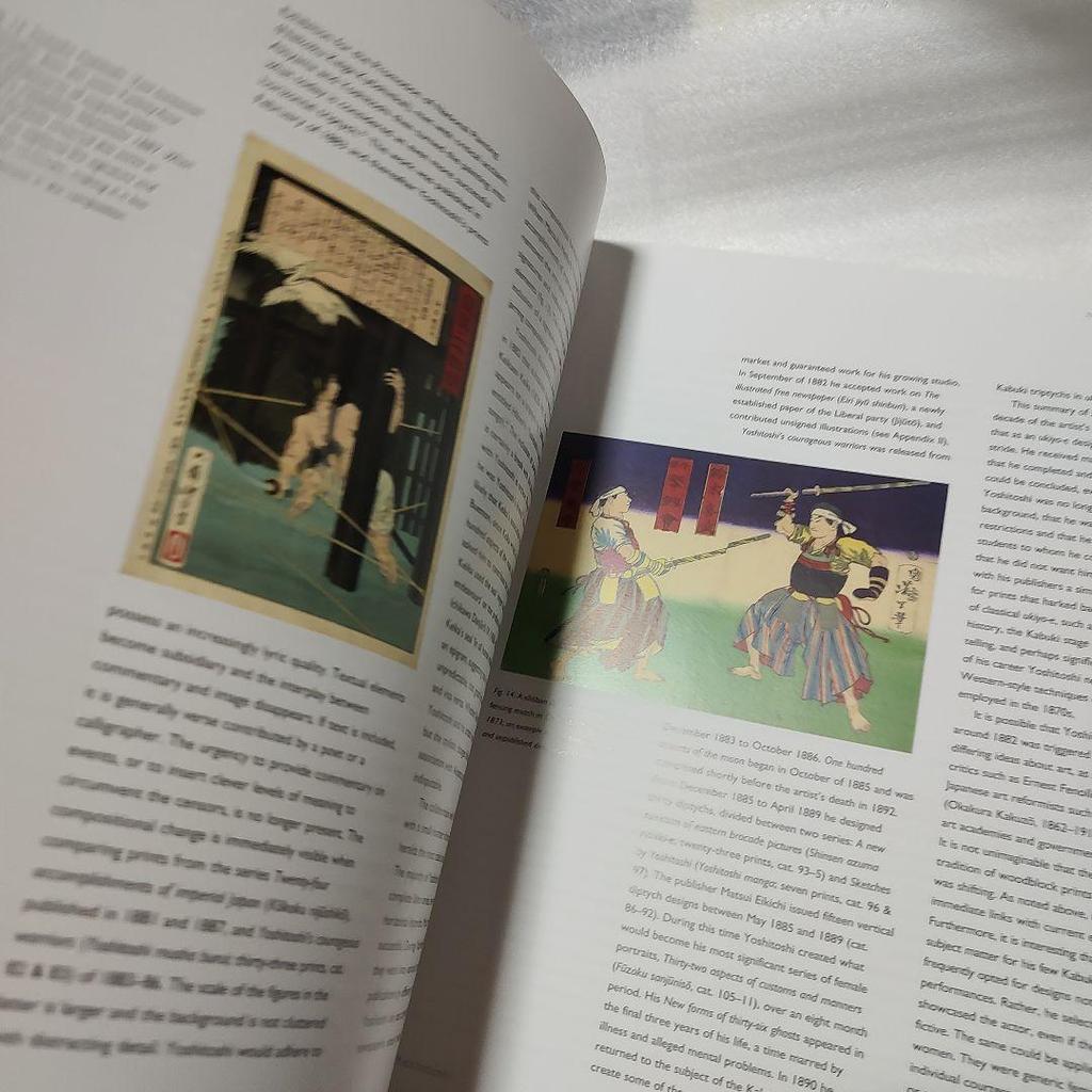 [USED] "Yoshitoshi" A collection of Yoshitoshi Tsukioka's commentary on foreign books