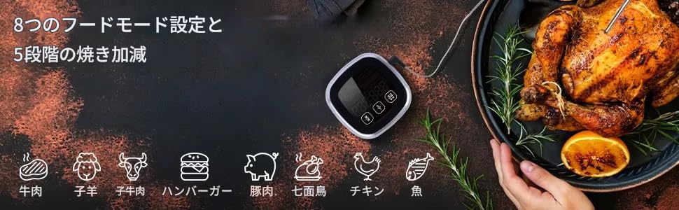 zmart Digital Meat Kitchen Stainless Steel Waterproof Probe Thermometer for Oven, Cooking, and BBQ, -50°C to 300°C, Includes Japanese Instructions