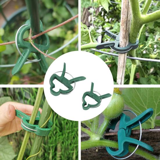 20Pcs Plant Fixing Clips Heavy Duty Weather-proof Universal Indoor Outdoor Garden Climbing Plants Flowers Stems Support Plastic Clamps