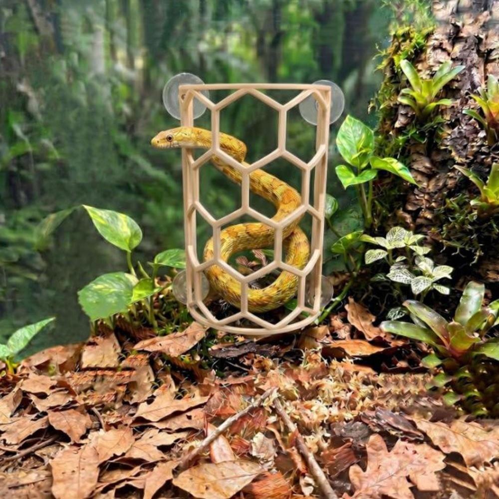 Honeycomb Design Reptile Climbing Shelf Plastic Wall Mounted Reptile Hiding Cave with Suction Cup Durable Reptile Hideaway