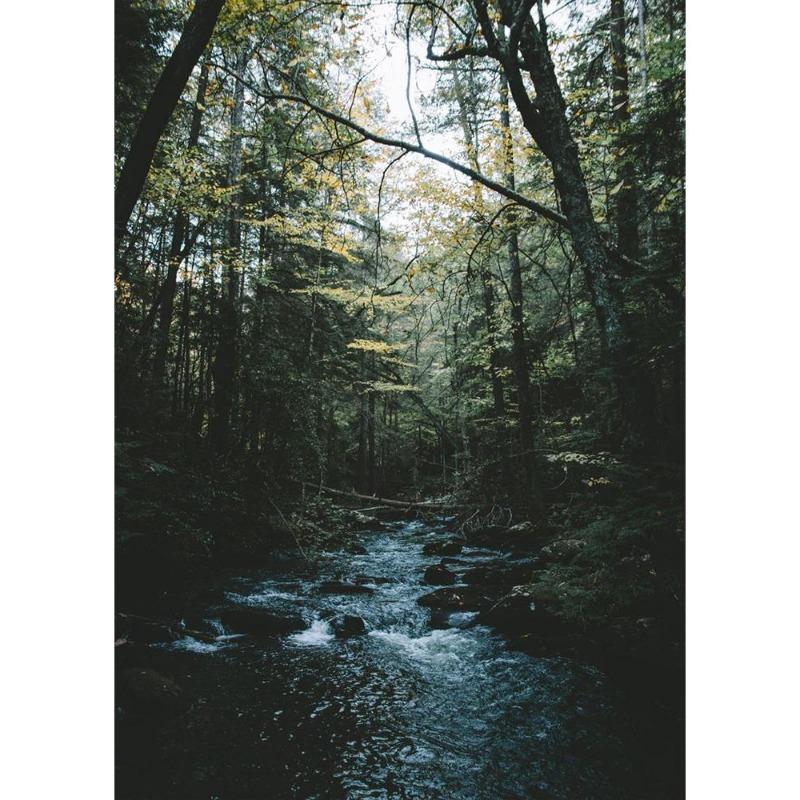 İskandinav doğal manzarası, yeşil orman, yol, dağ gölü, poster, tuval, resim, modern oturma odası için duvar sanatı,