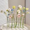 Foldable Transparent Glass Vase for Tulips - Modern Hydroponic Display and Decoration.