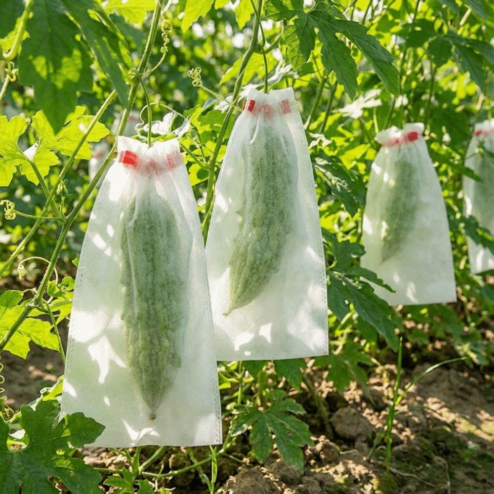 100Pcs Non-woven Fruit Protection Bags Breathable Mesh Nursery Bags Anti-sun Corrosion-resistant Insect Proof Bag