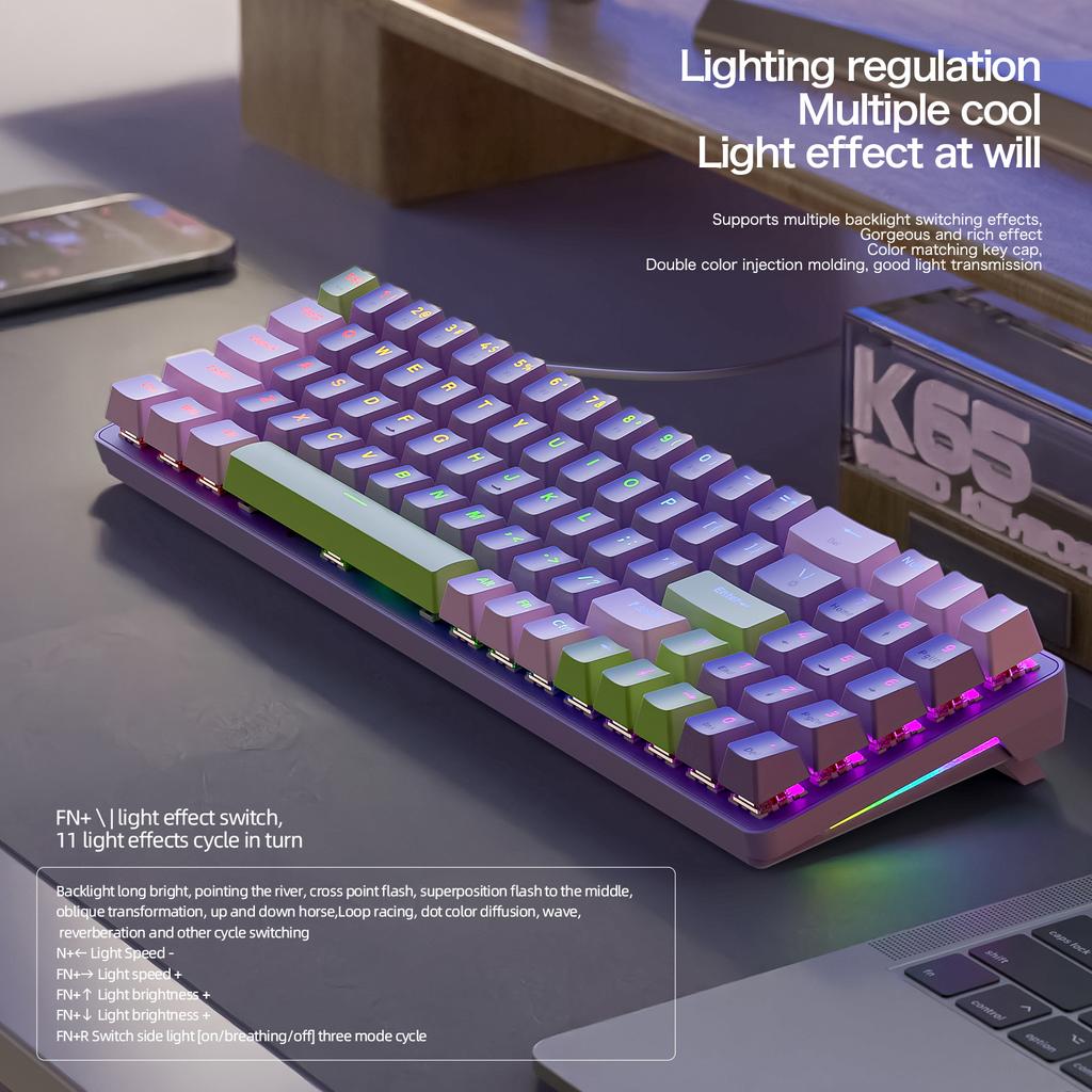 ZIYOULANG K65 78 Keys Hot Swappable Mechanical Keyboard RGB Light USB Wired Keyboard