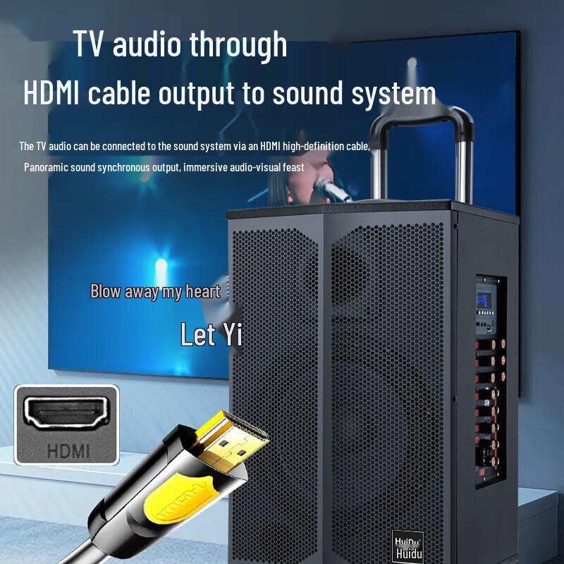 Huido T-15L Pro Live Broadcast Portable Speaker (CN Version)
